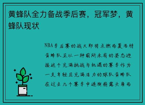 黄蜂队全力备战季后赛，冠军梦，黄蜂队现状